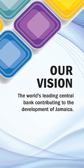 Our Vision-323x644