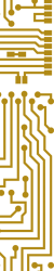 Gold Circuit strip-2 Gold Circuit strip-2