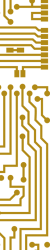 Gold Circuit strip-2