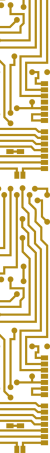 Gold Circuit strip-2